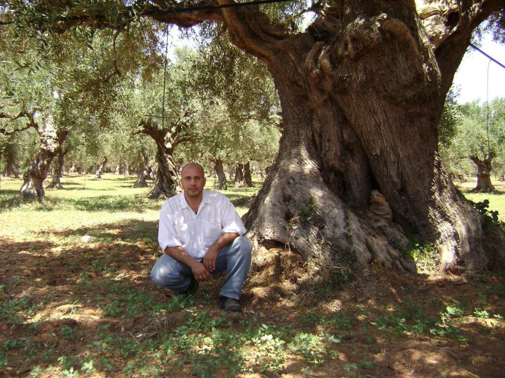 Man kneeling next to an olive tree
